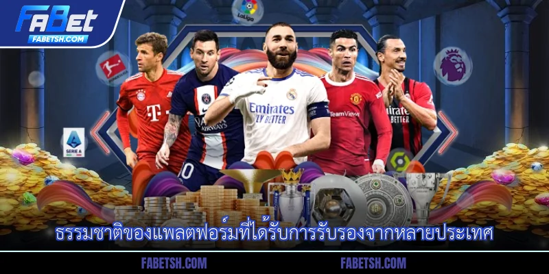 ธรรมชาติของแพลตฟอร์มที่ได้รับการรับรองจากหลายประเทศ